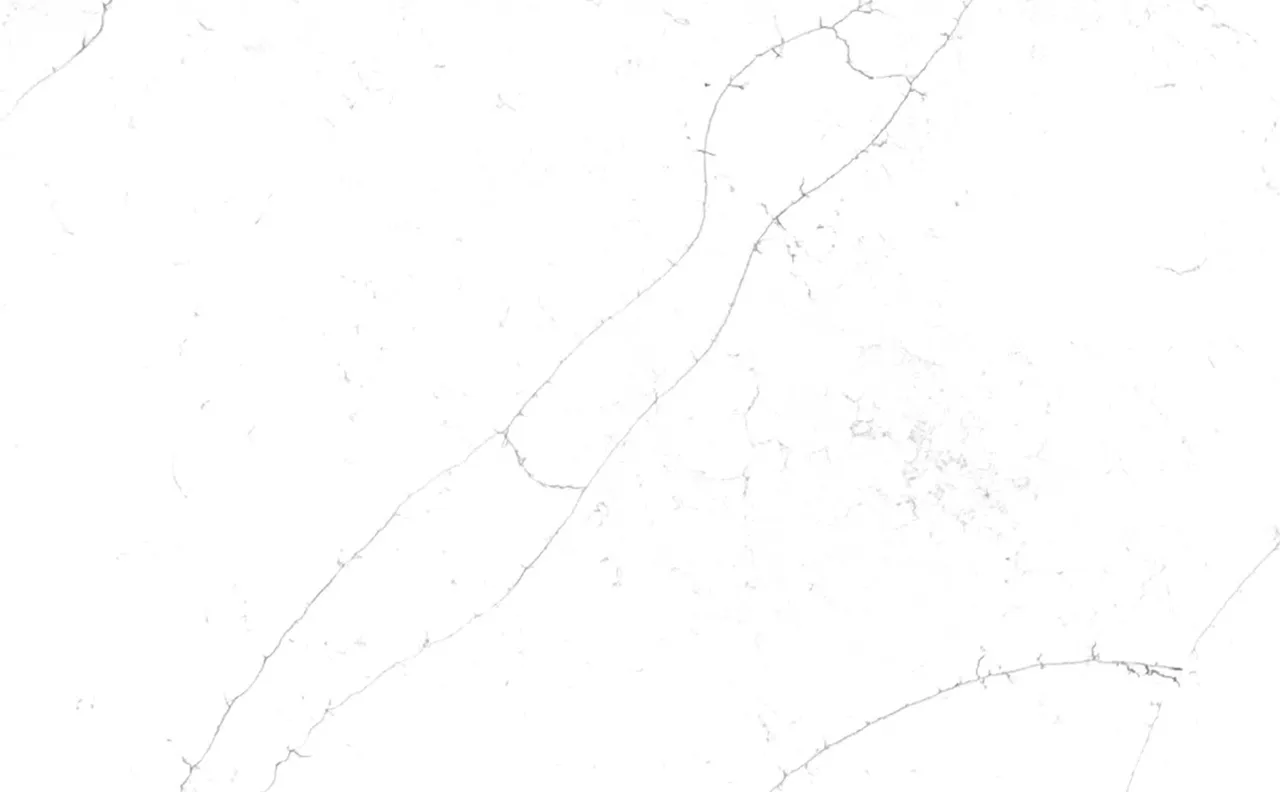 Natural slab Carrara Alto, 8104