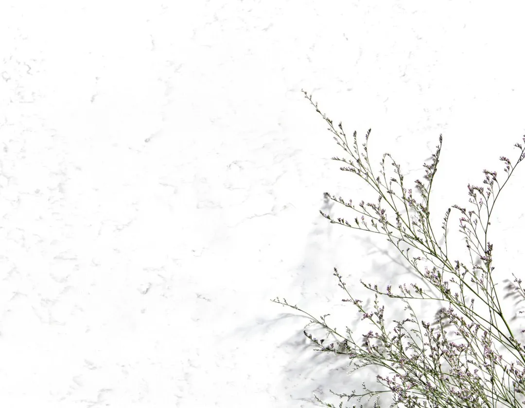 Carrara White natural quartz slab 7101 hero view