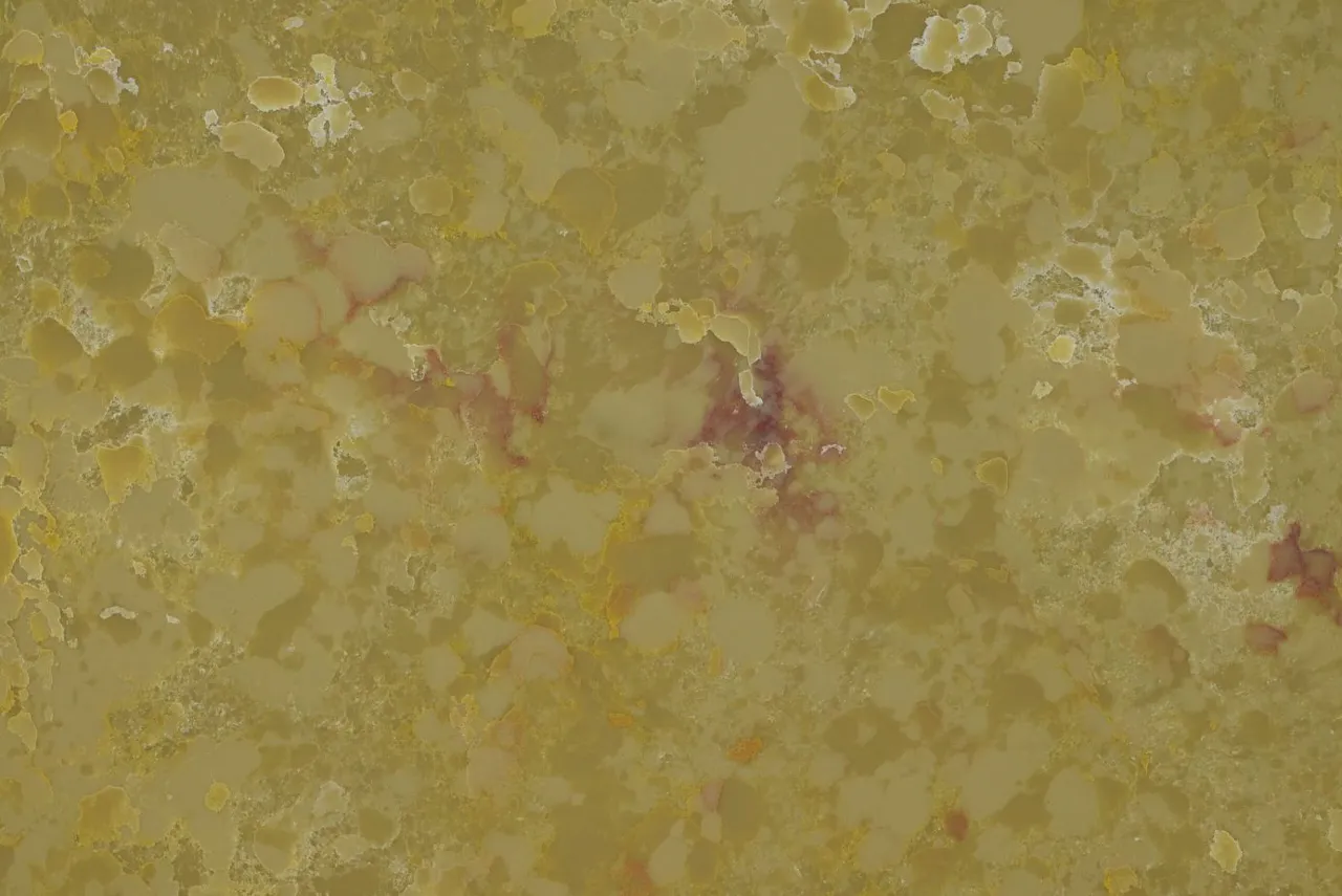Natural slab Sun Flower, 8203